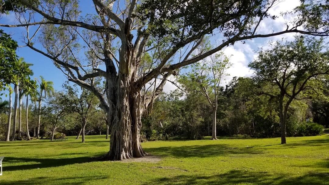Matheson Hammock Park & Marina photo 5