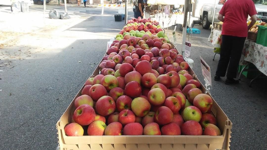 Clark Park Farmers' Market photo 6