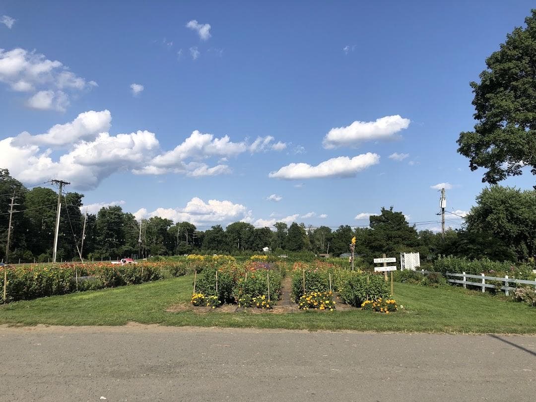 Terhune Orchards photo 2