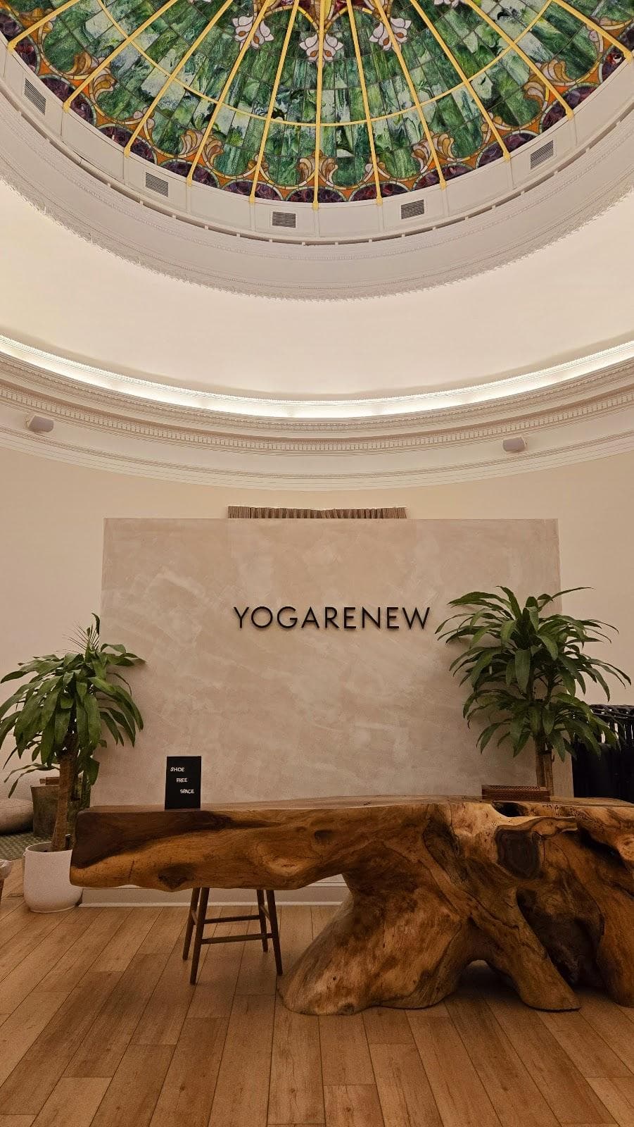 YogaRenew photo 1
