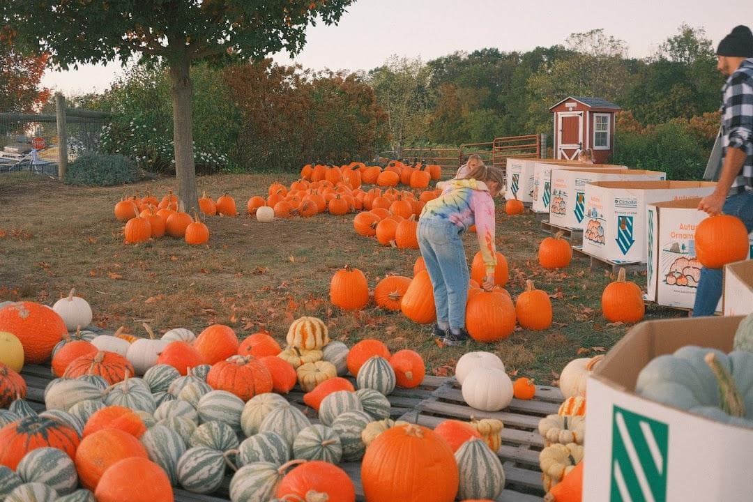 Hellerick’s Adventure Farm photo 1