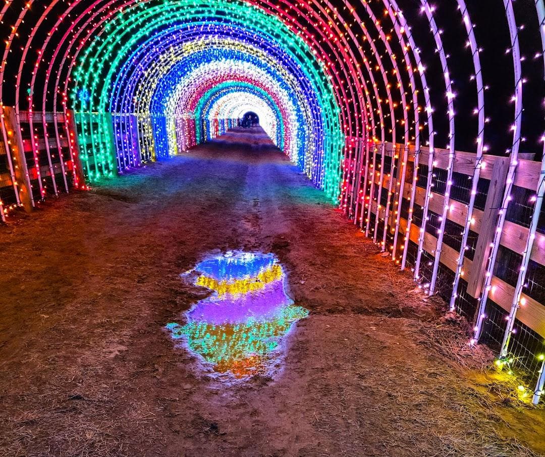 Holland Ridge Farms photo 2