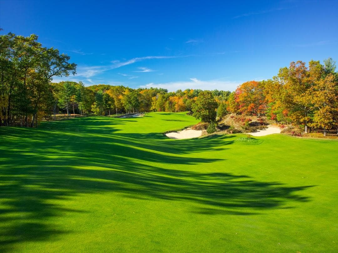 Boston Golf Club photo 3