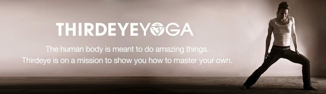 ThirdEye Somatic Yoga Therapy photo 5