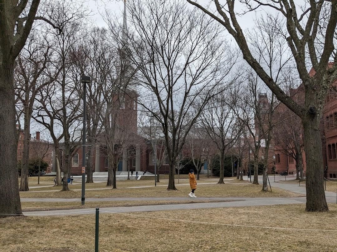 Harvard University, Boston Campus photo 6