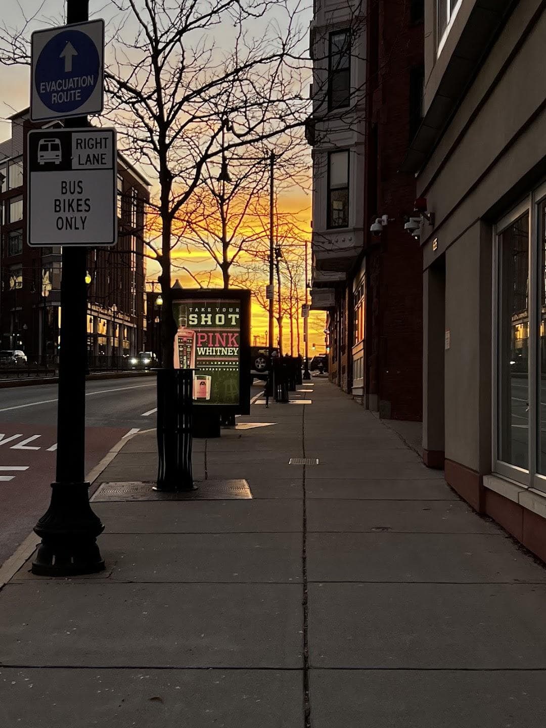 Longwood Medical and Academic Area photo 5