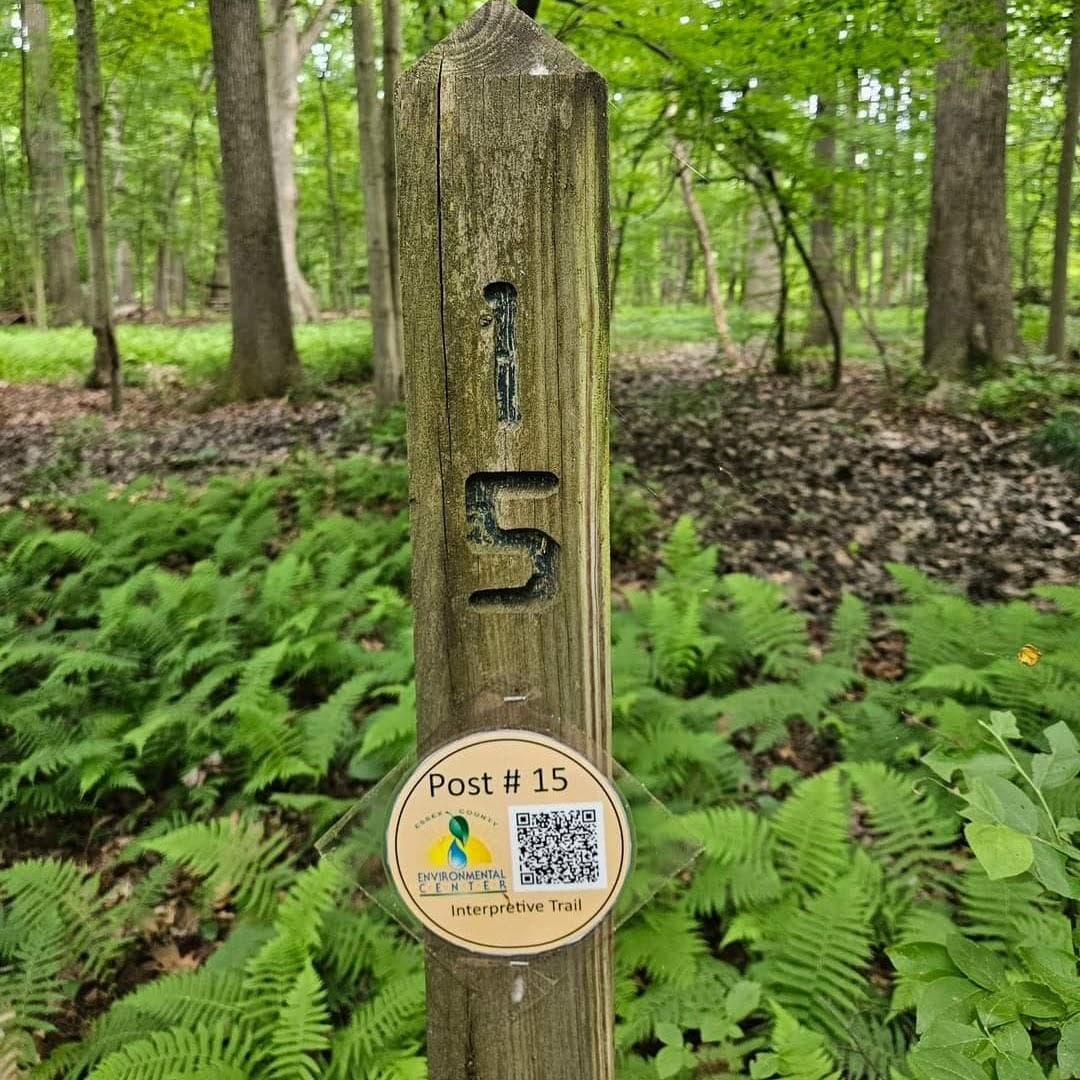 Essex County Environmental Center photo 6