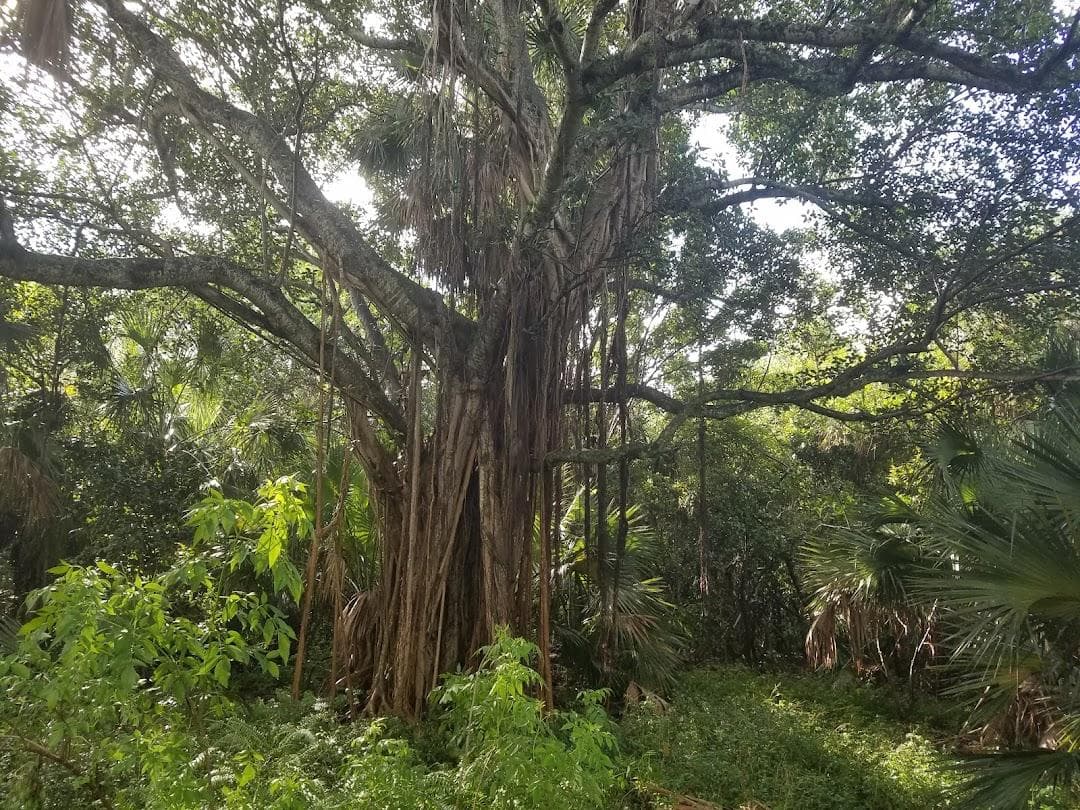 Arch Creek Park photo 2