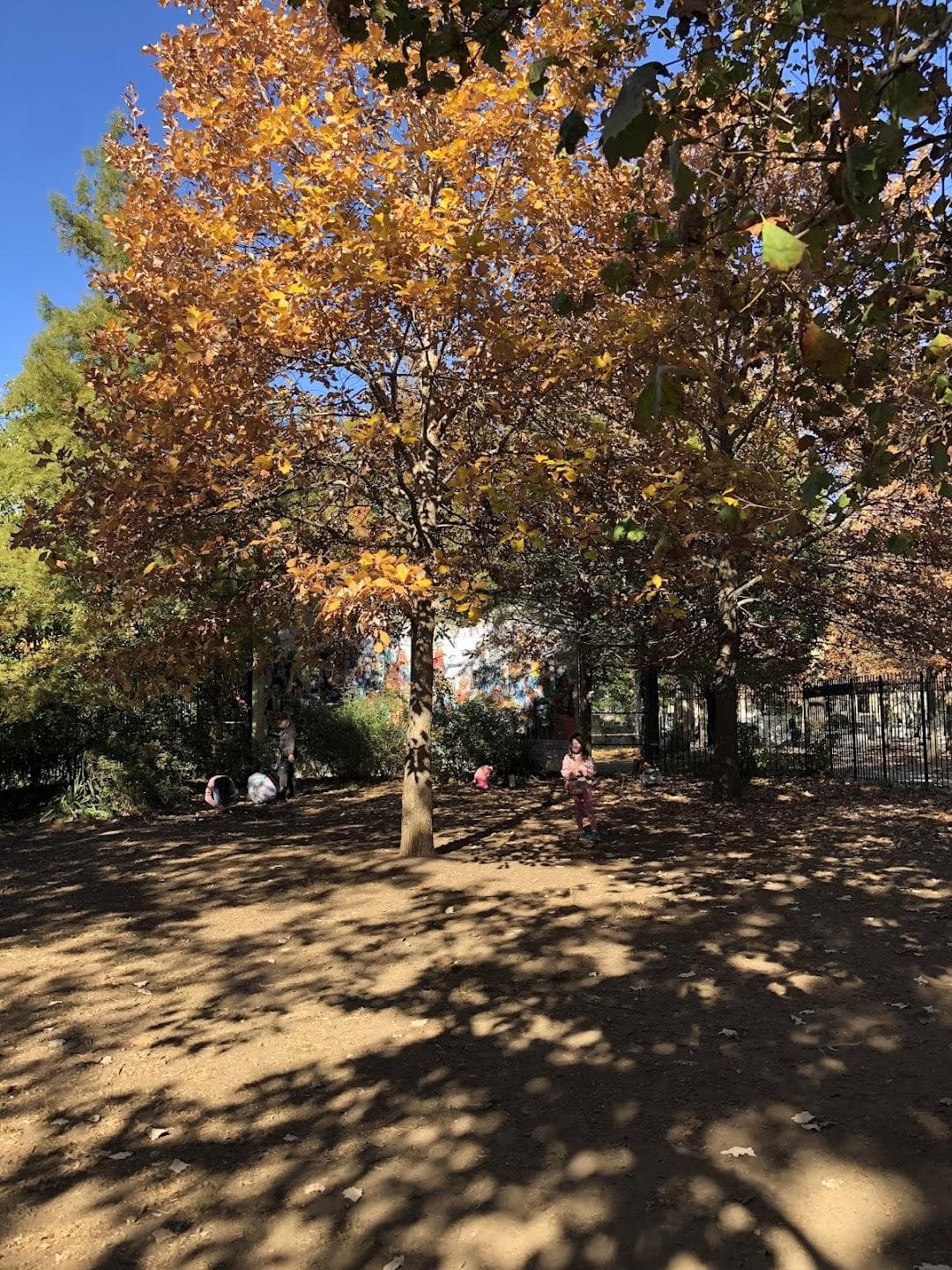 Monarch Butterfly Garden photo 1