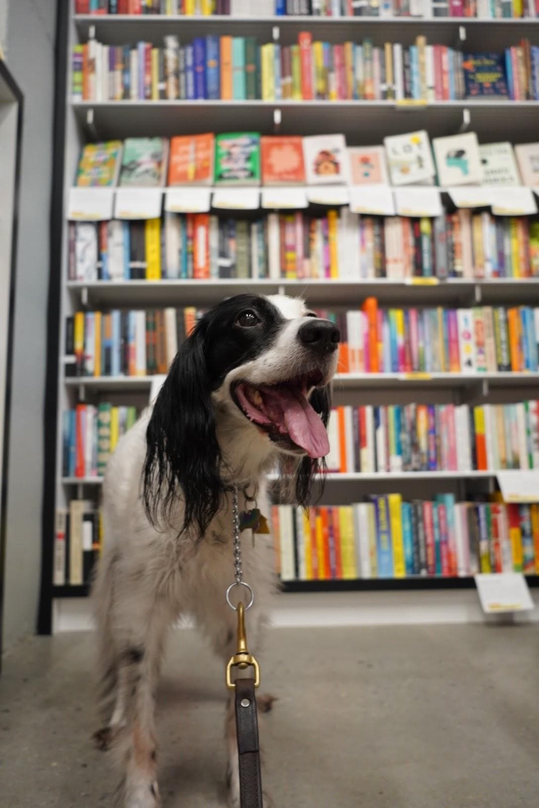 P&T Knitwear Bookstore, Coffee, & Podcast Studio photo 1