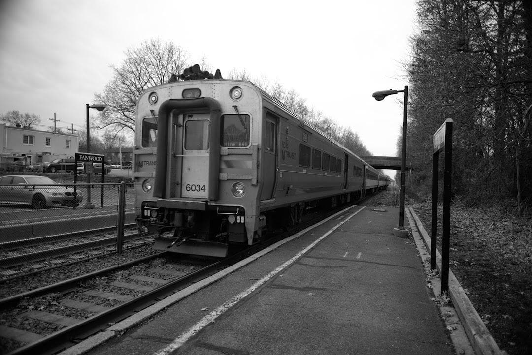 Fanwood photo 6