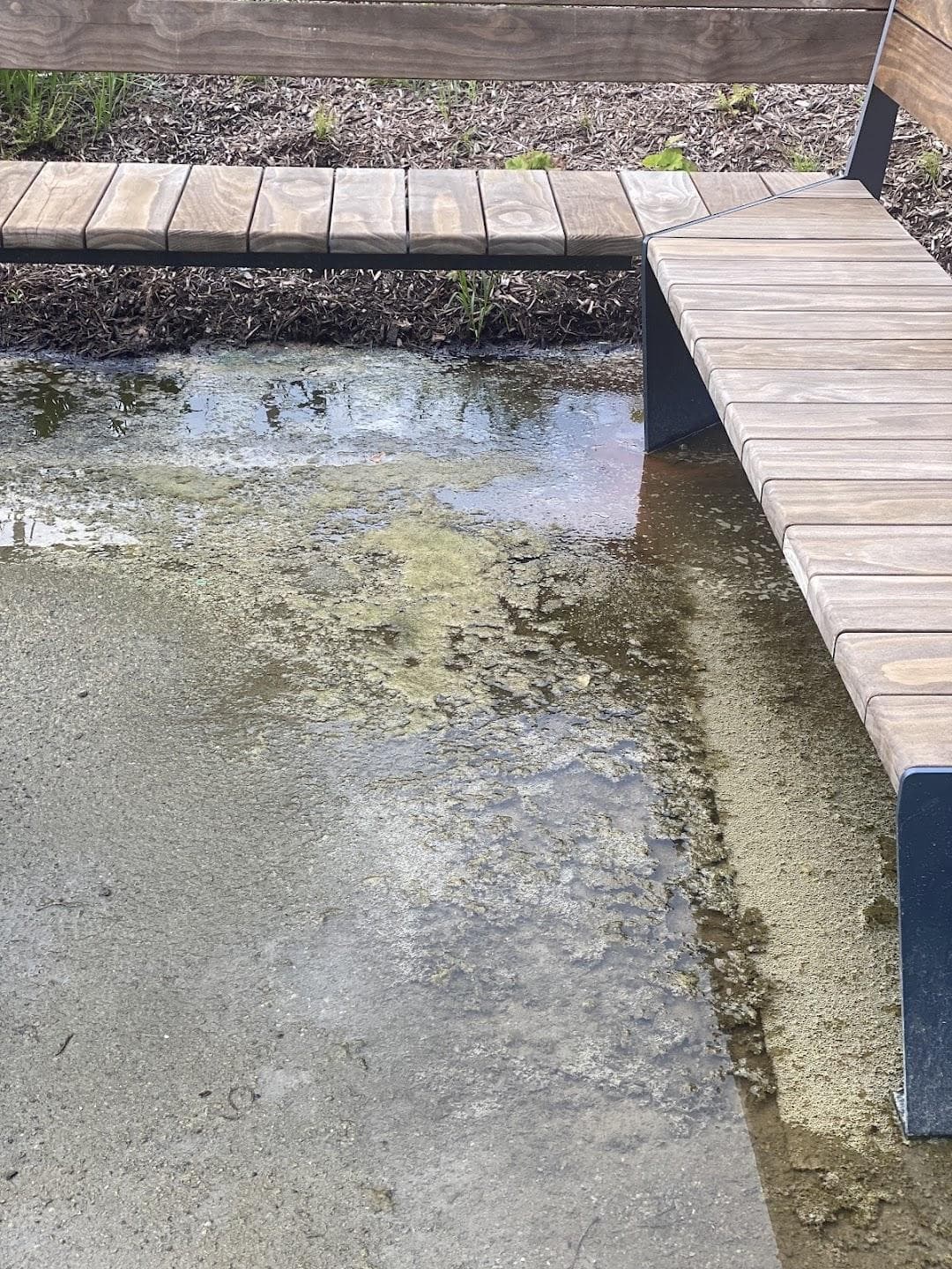 Northwest Resiliency Park photo 6