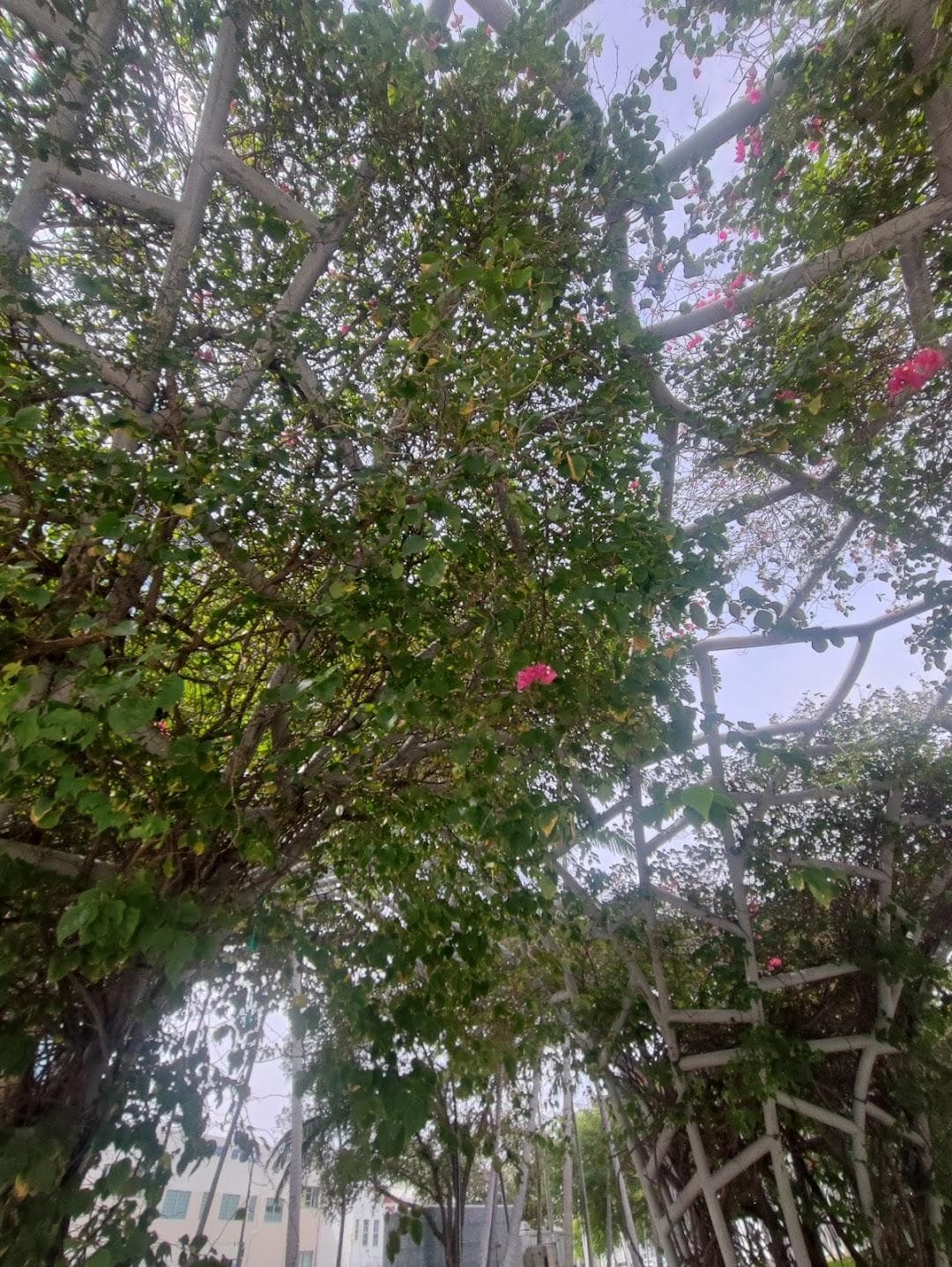 Soundscape Park photo 4