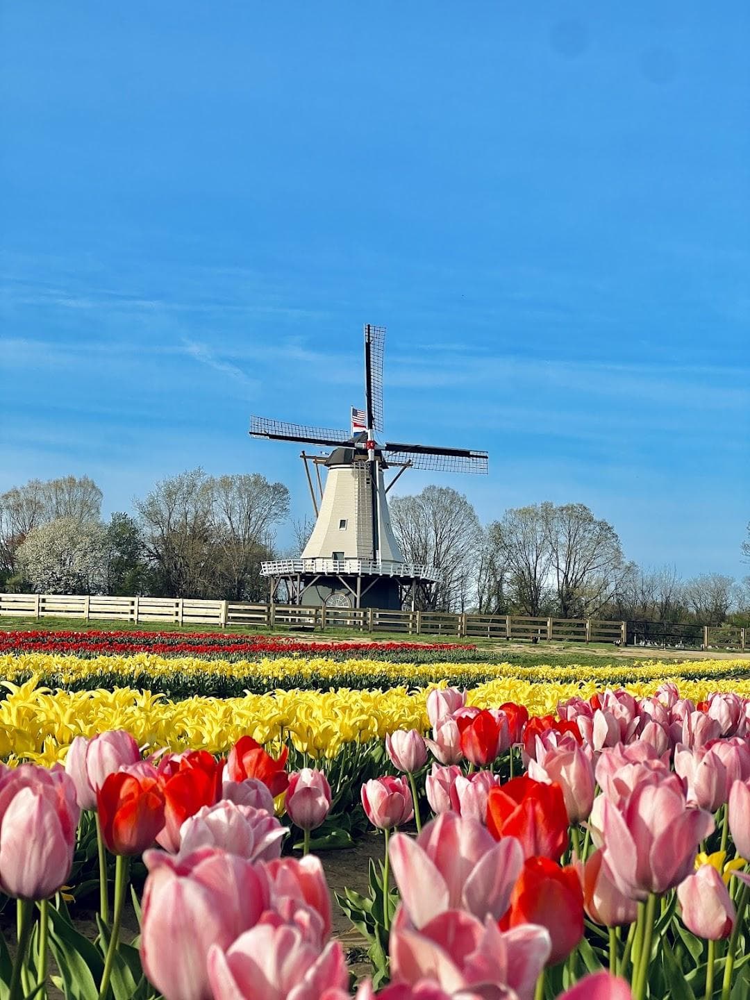 Holland Ridge Farms photo 5