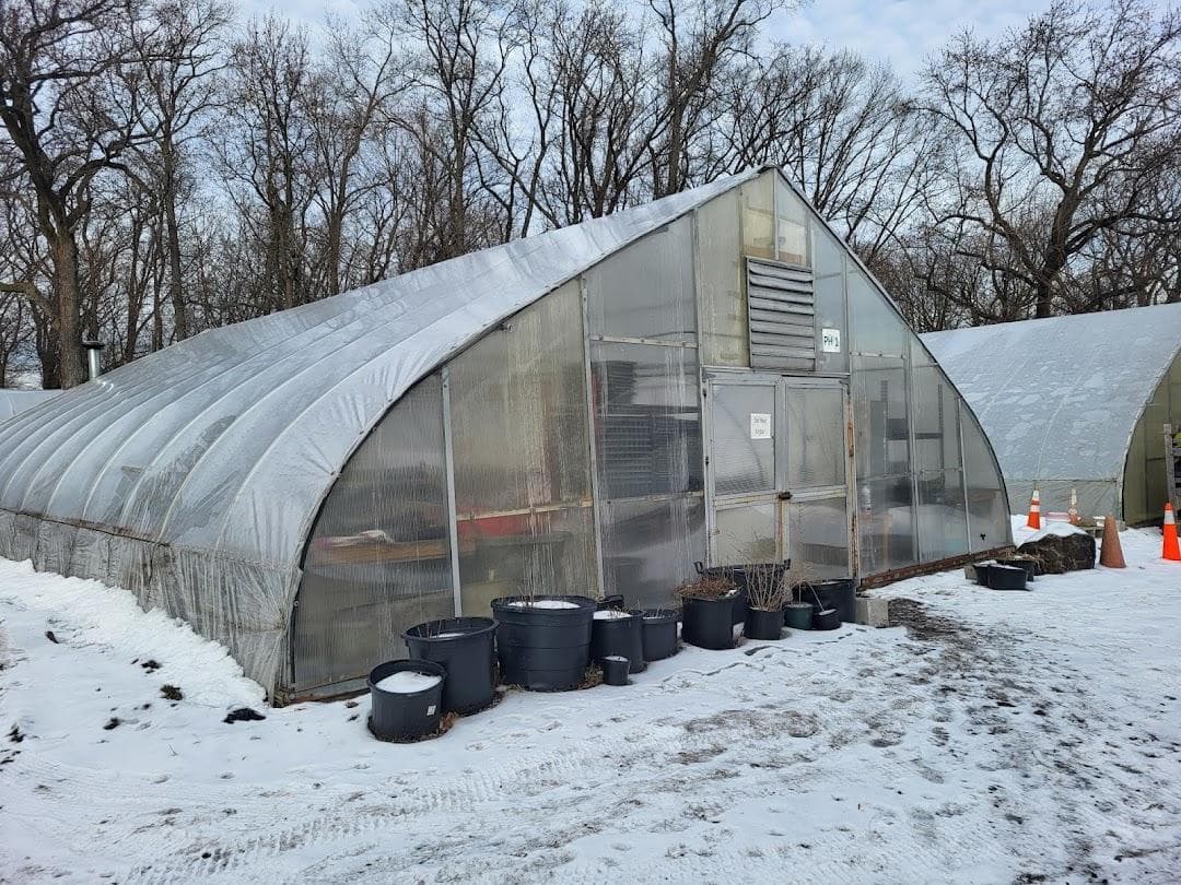Citywide Nursery photo 4
