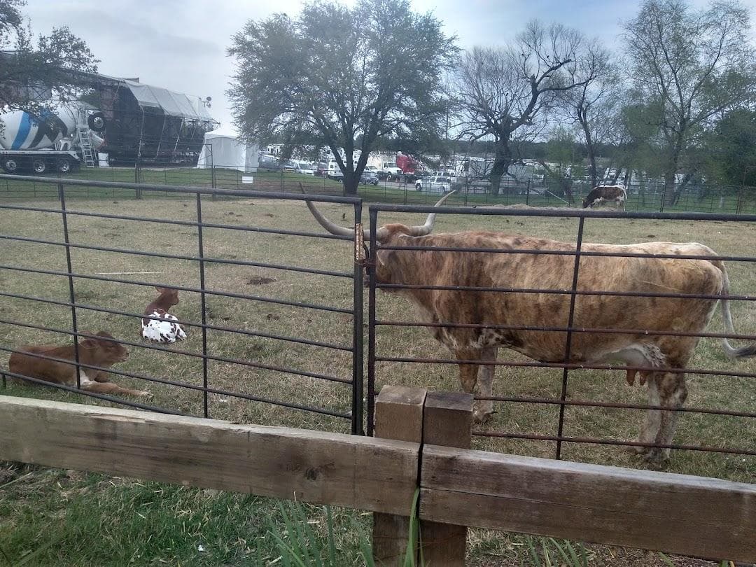 Rodeo Austin photo 6