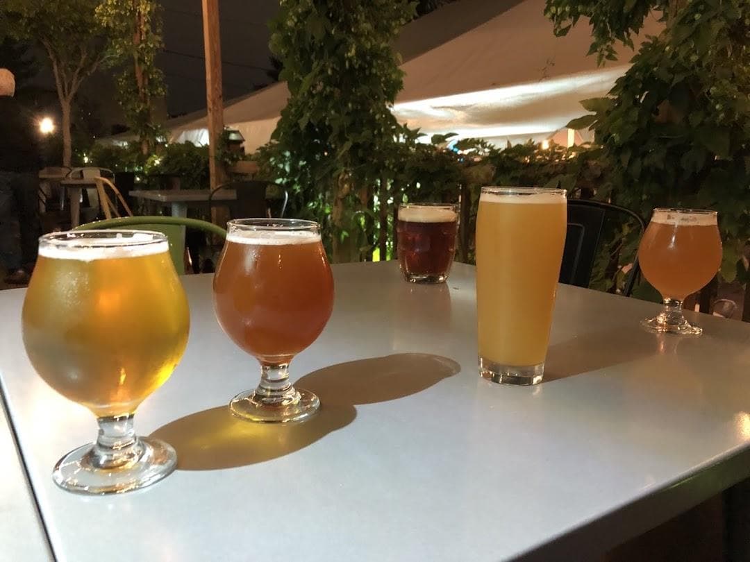 Wissahickon Brewing Company - East Falls photo 4