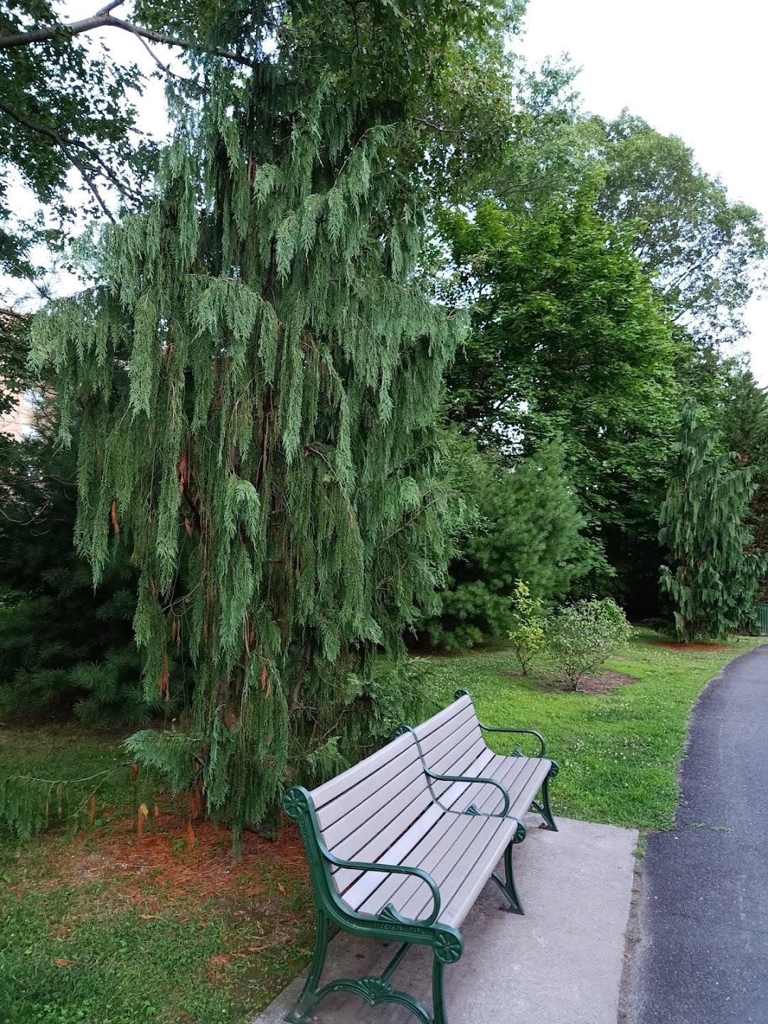 Anderson Park photo 1