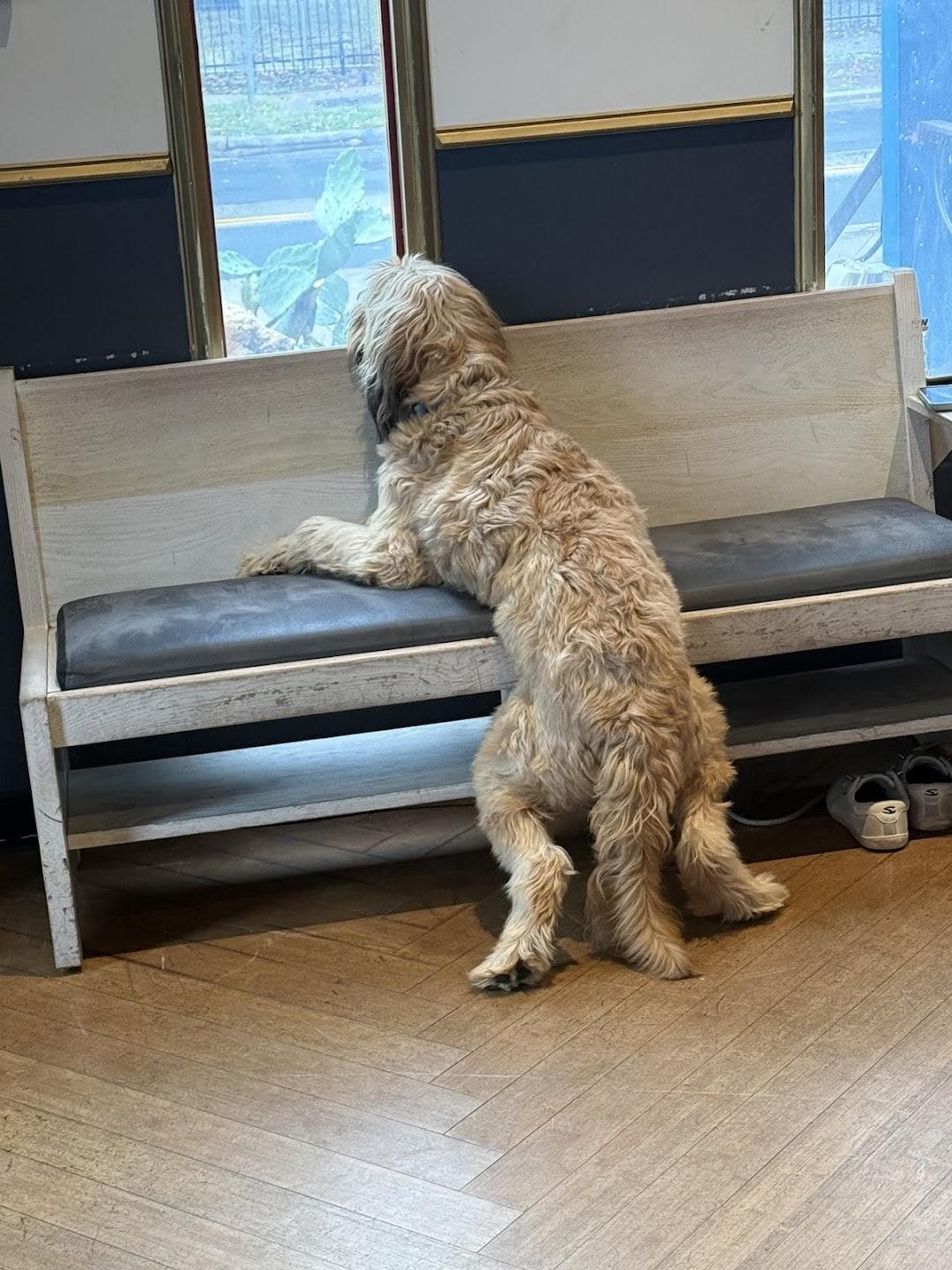 Esquina Tango photo 6