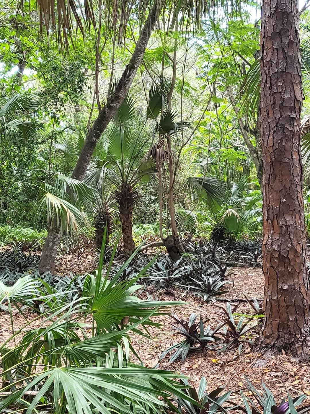 Pinewood Cemetery photo 5