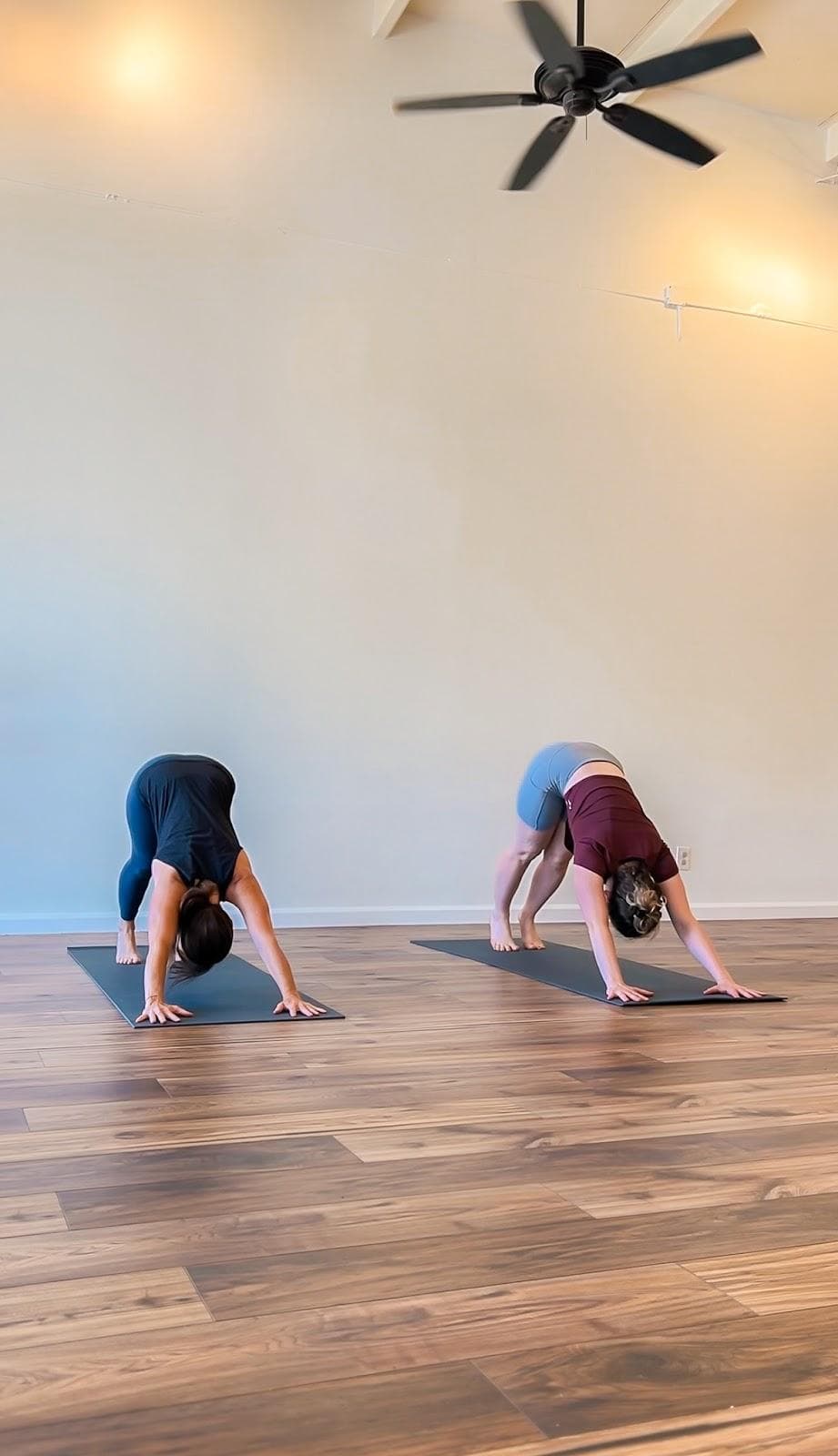 Austin Yoga Tree photo 5