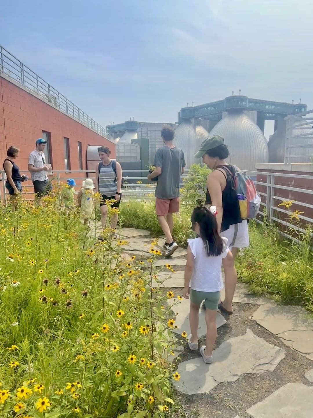 Kingsland Wildflowers Green Roof & Community Engagement Center photo 3