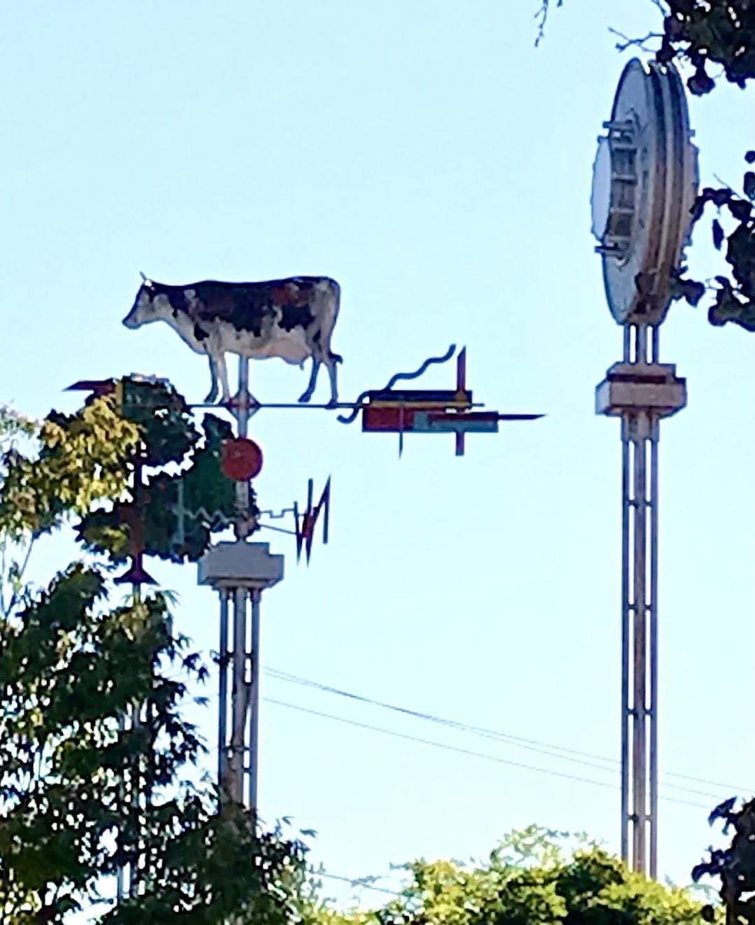 Seven Hills Park photo 2