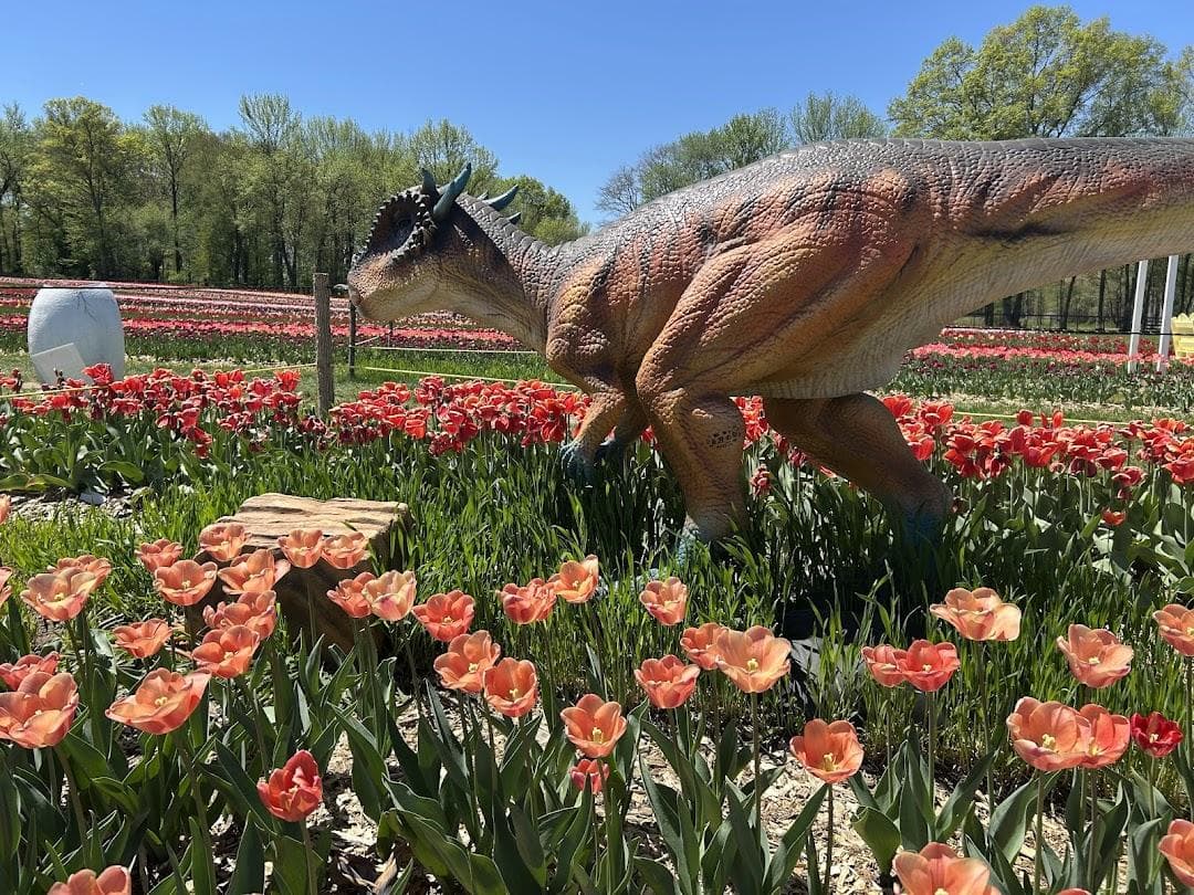 Arrowhead Farmstead photo 3