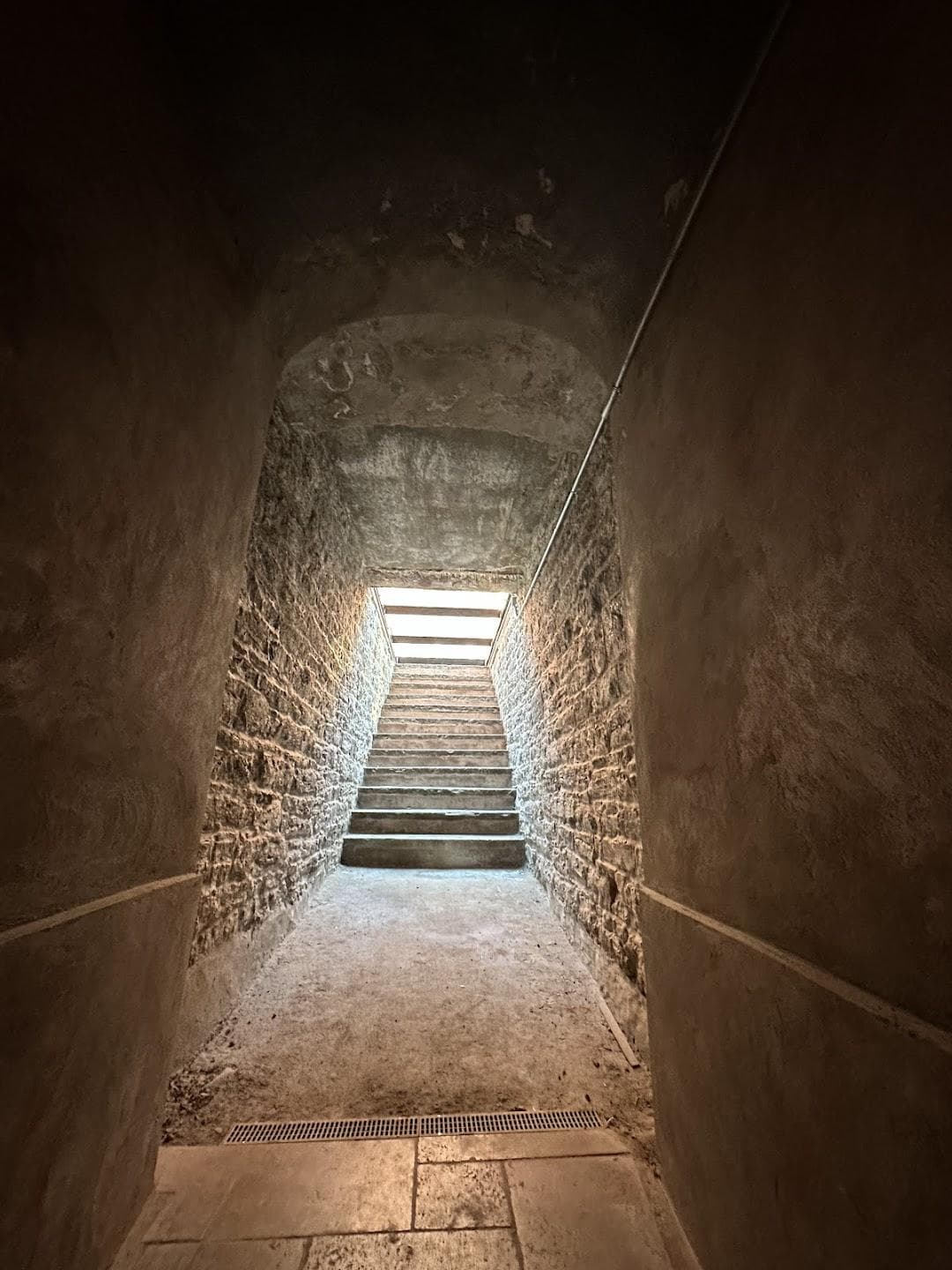 The Basilica of St. Patrick's Old Cathedral photo 3