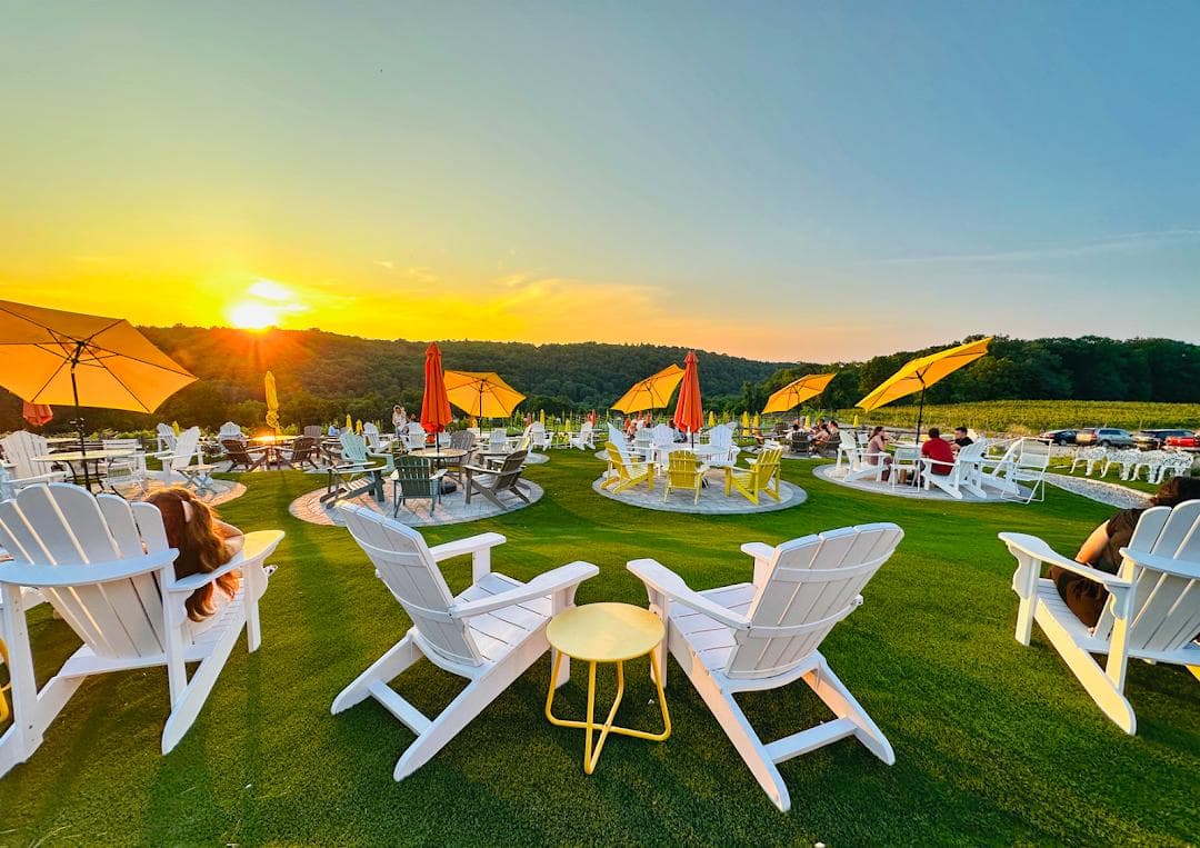 Aquila's Nest Vineyards photo 1