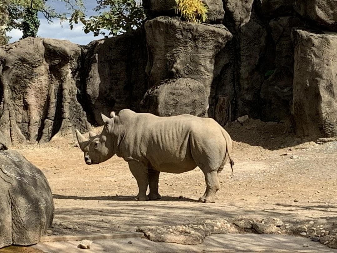 Philadelphia Zoo photo 6