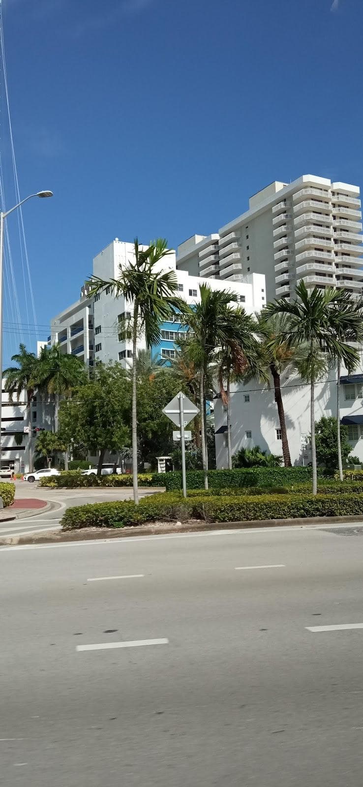 South Miami photo 3