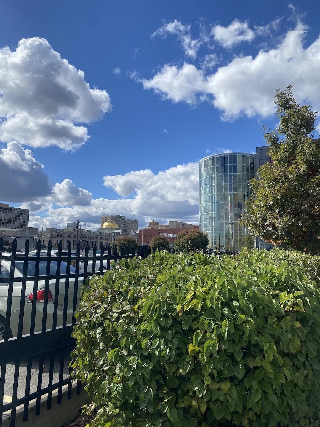 Mulberry Commons photo 6