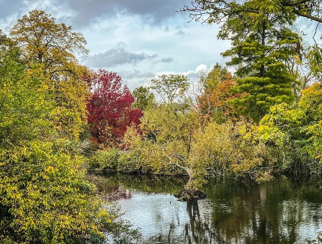 Brockwell Park photo 3