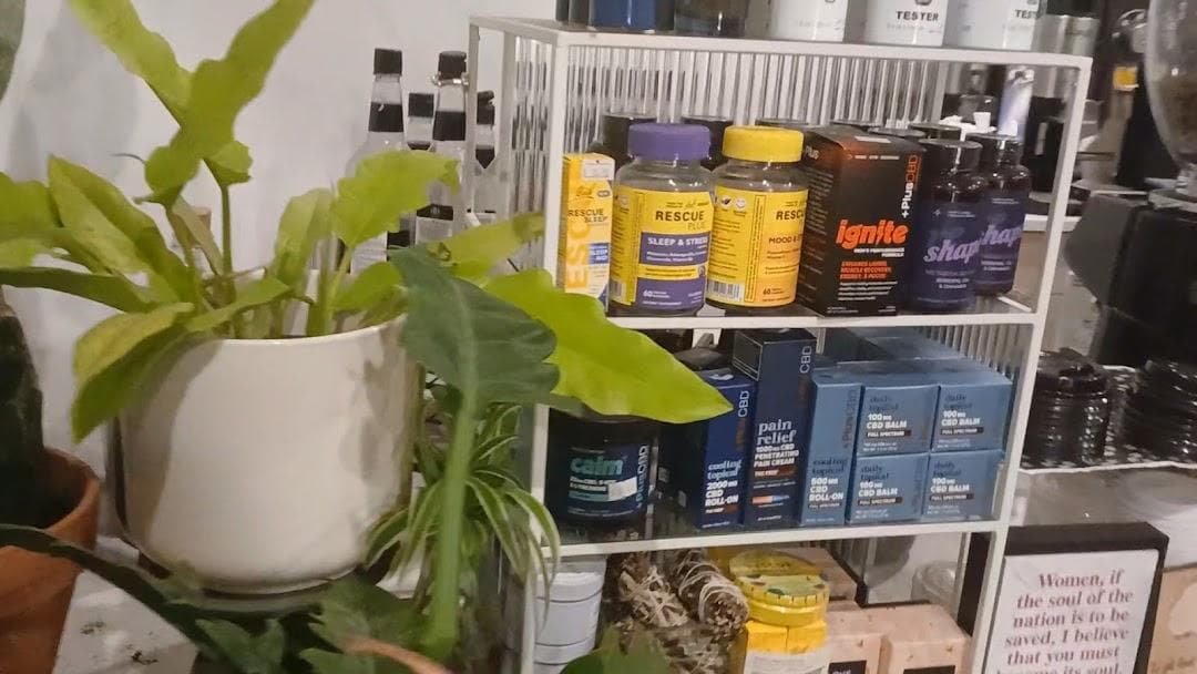 Plant and People photo 3