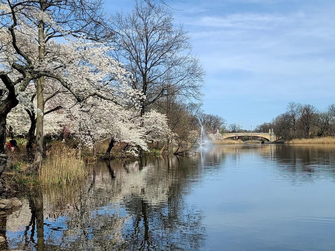 Cherry Blossom Welcome Center photo 3