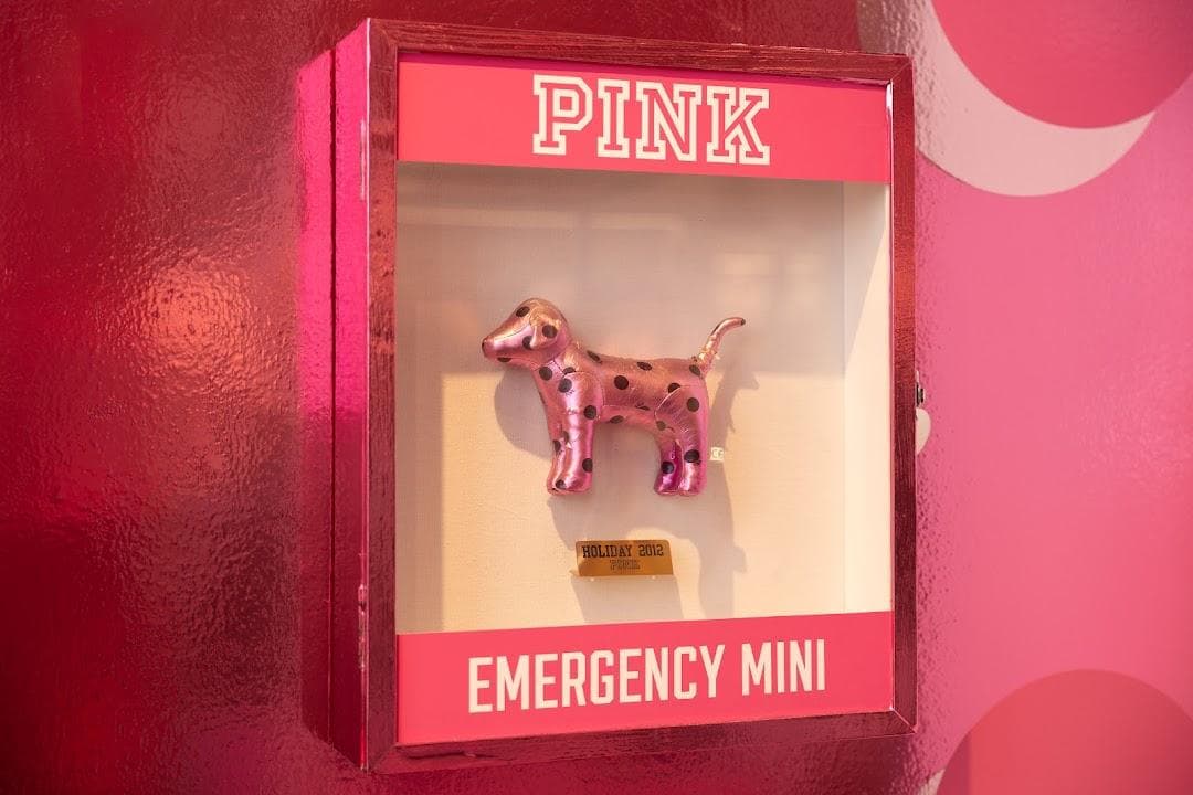 PINK photo 1