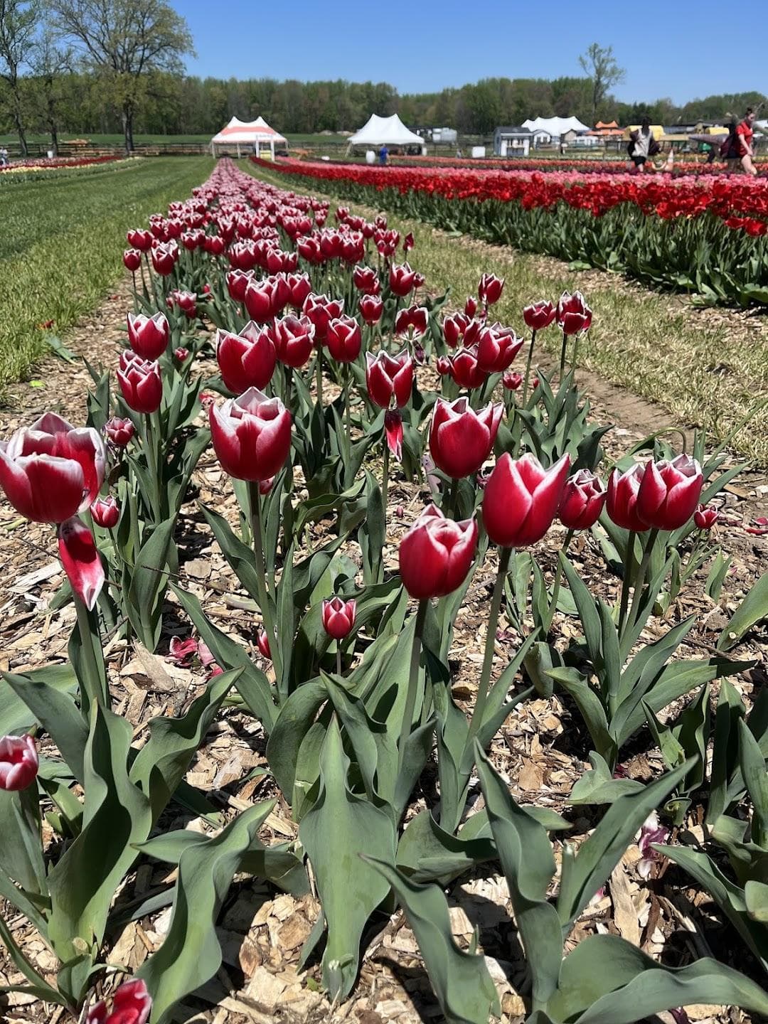 Arrowhead Farmstead photo 6