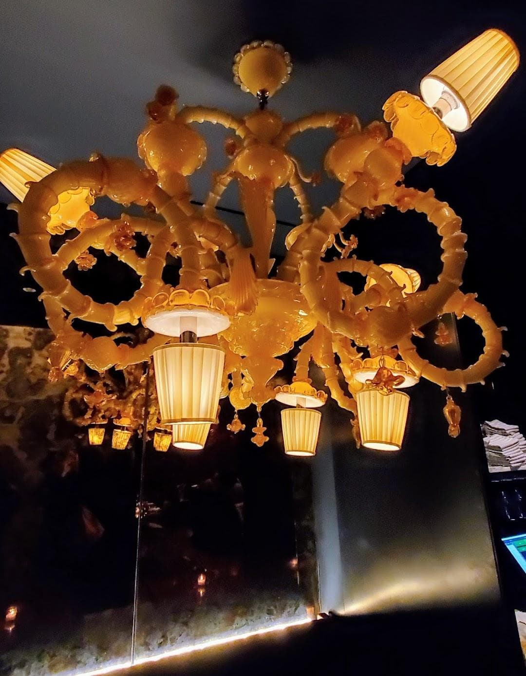 Paloma at Hotel Hendricks photo 6