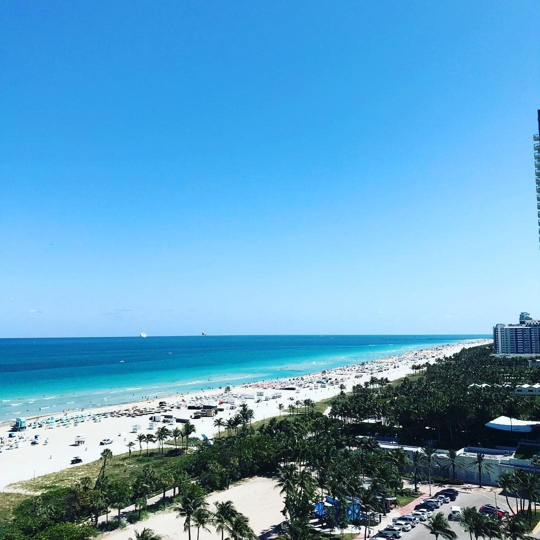 Collins Park photo 3