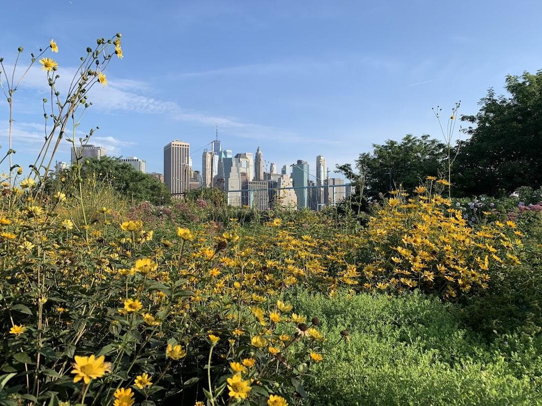 Brooklyn Bridge Park Pier 6 / Atlantic Avenue photo 4