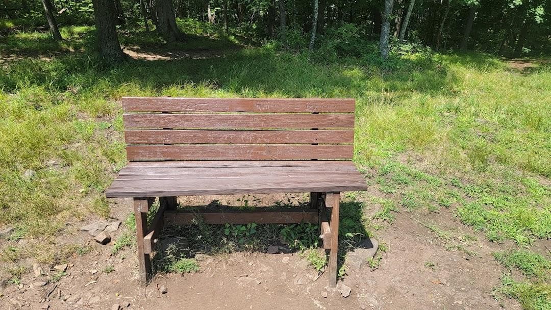 Brookdale Park photo 3
