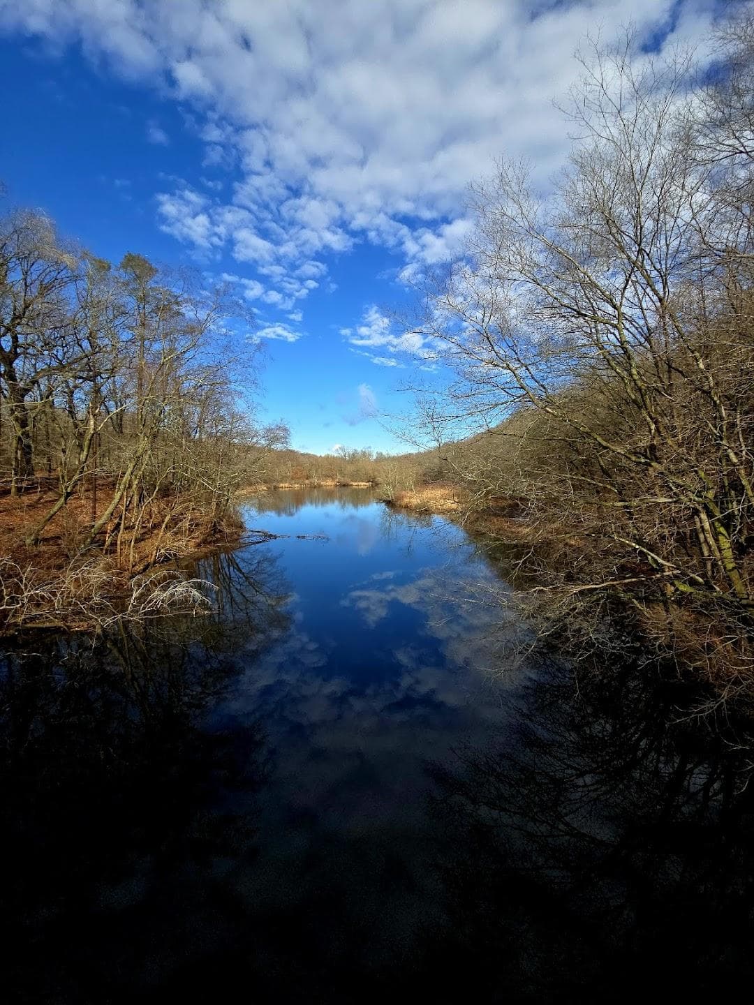 East Rock Park photo 6