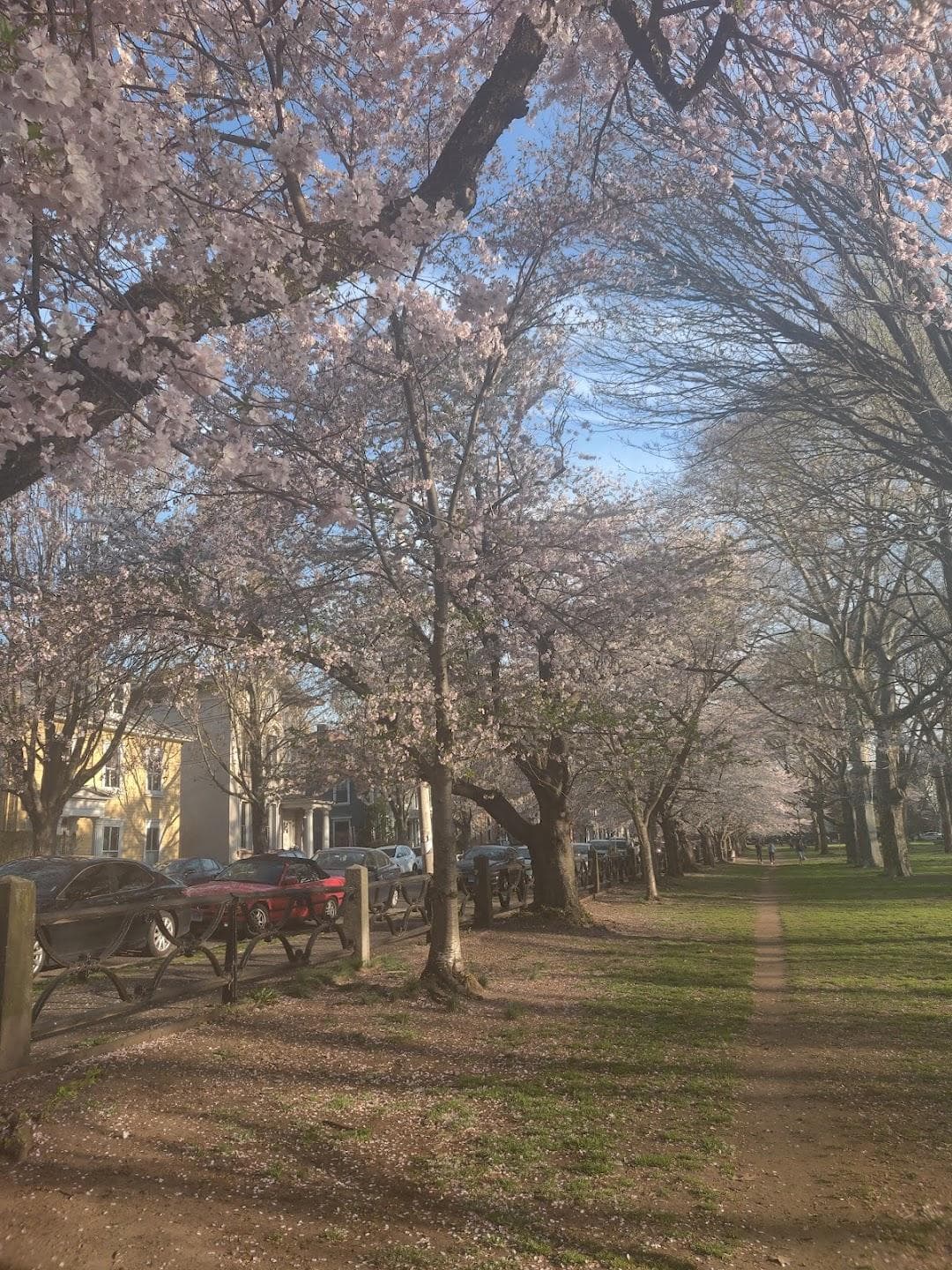 Wooster Square Park photo 4