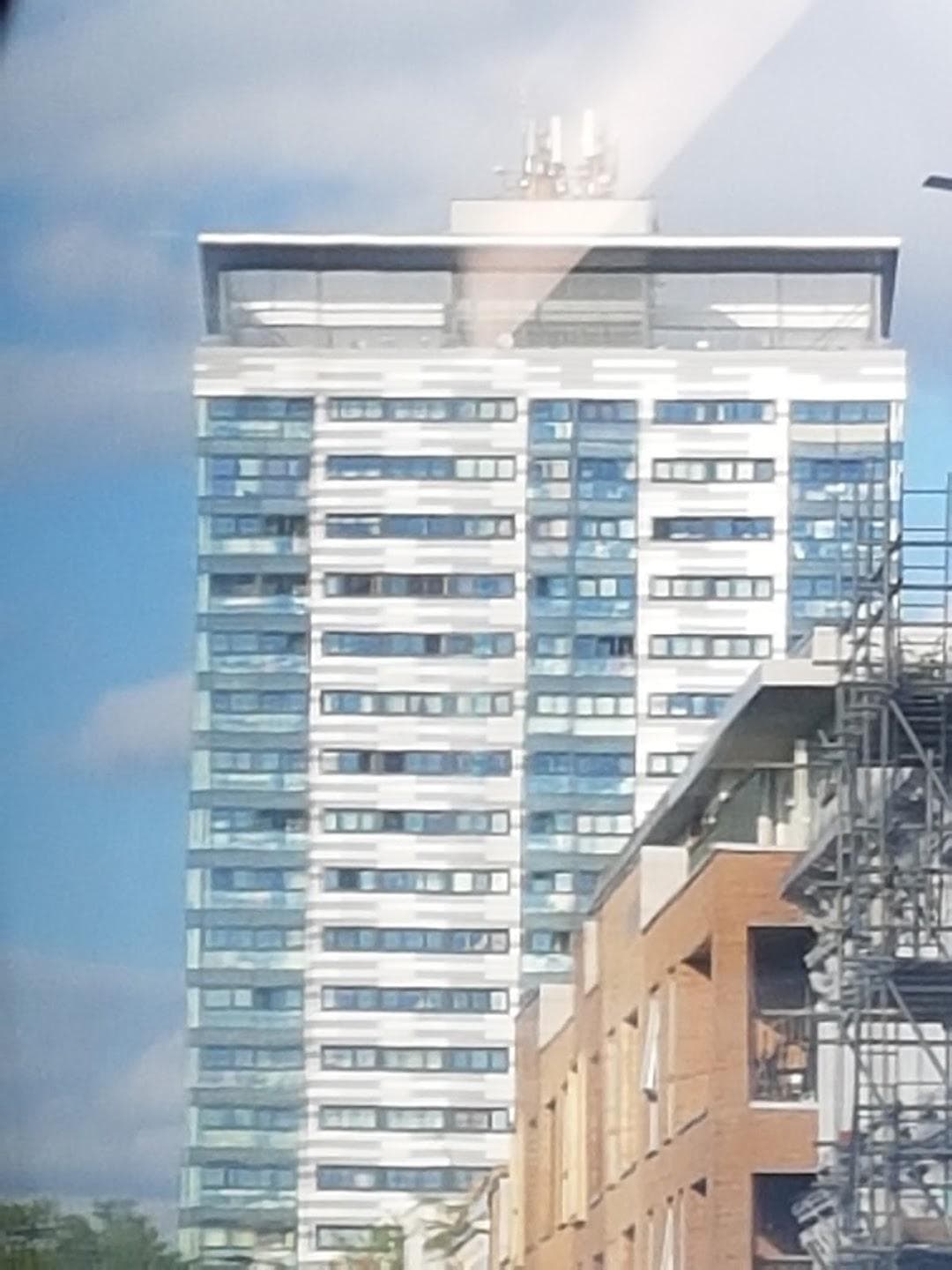 Lavender Hill photo 3