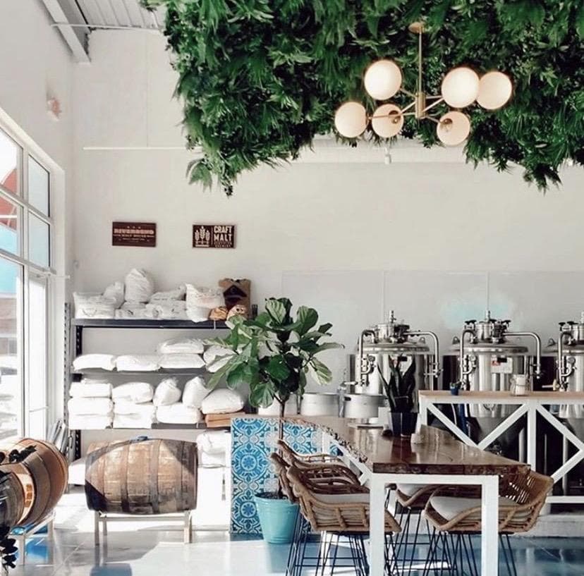 Edge City Brewery photo 5