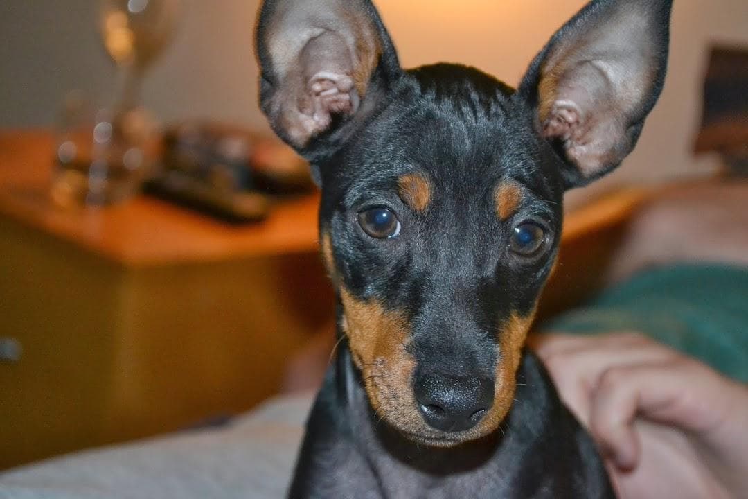 Bermondsey Social Club photo 6