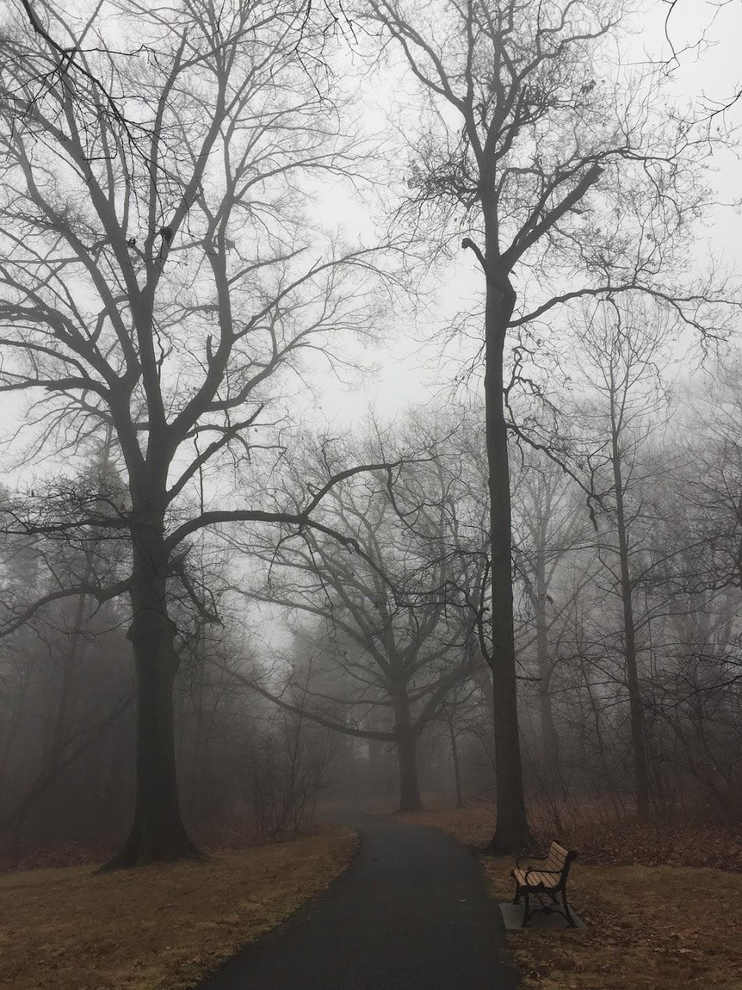 Brookdale Park photo 2