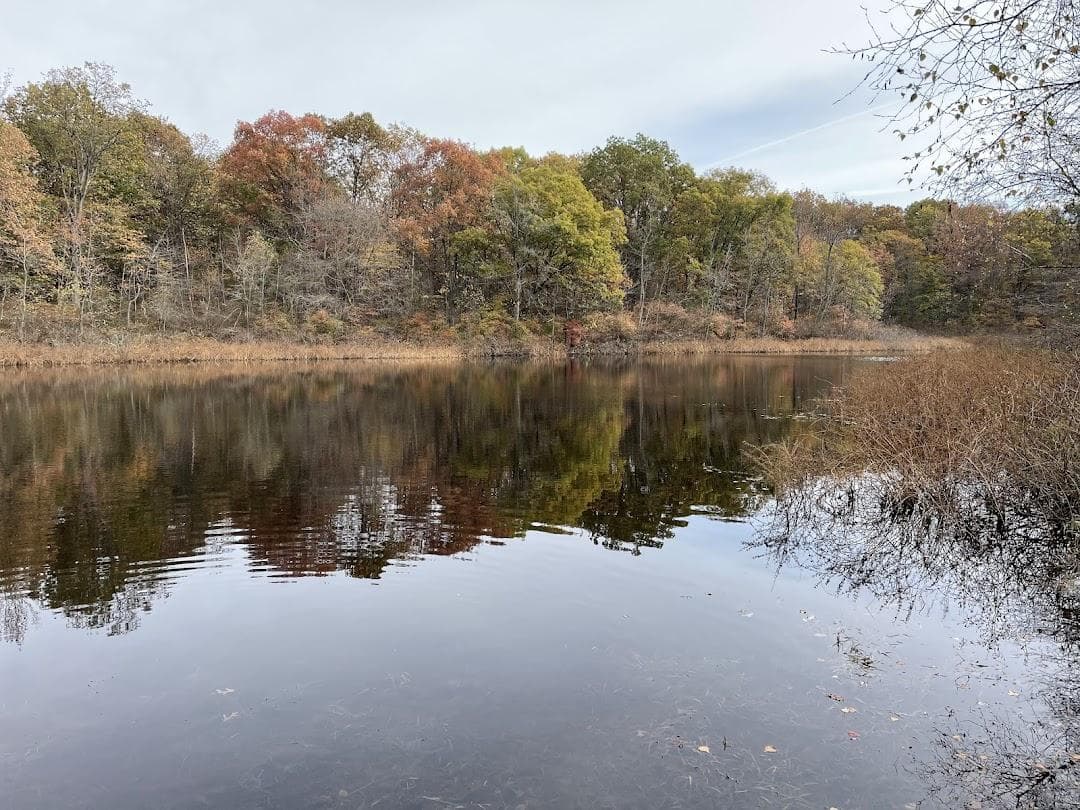 Long Pond Park photo 5