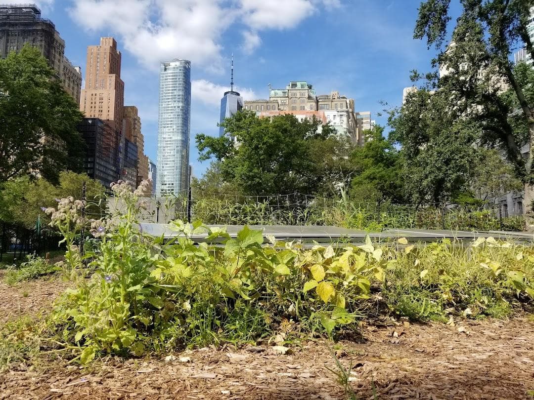 The Battery Urban Farm photo 2